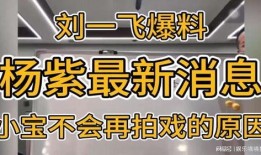 刘一飞最新爆料消息,揭秘娱乐圈惊人内幕